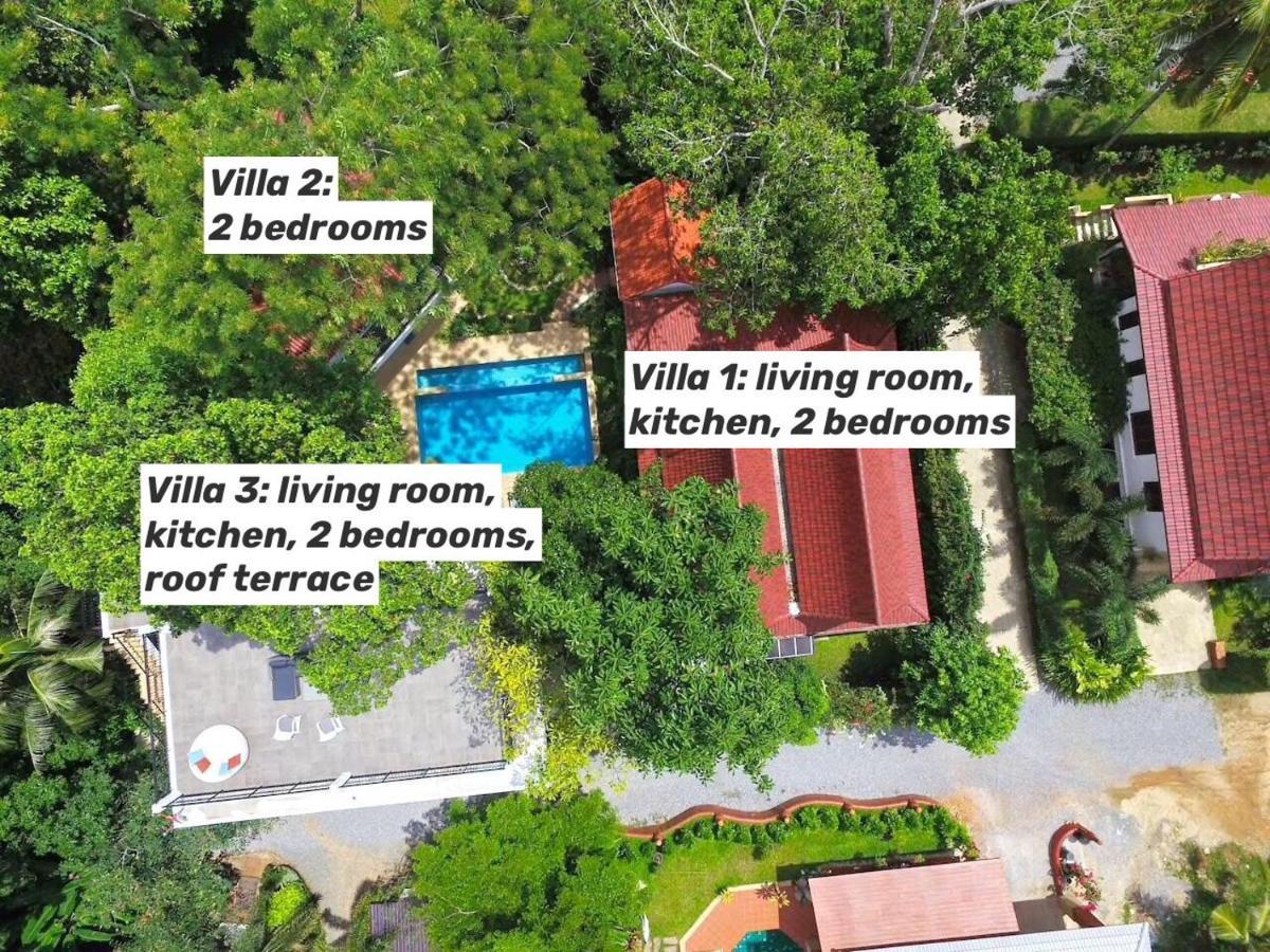 Koh Chang 6 Bedroom Villa With Private Pool And Garden エクステリア 写真